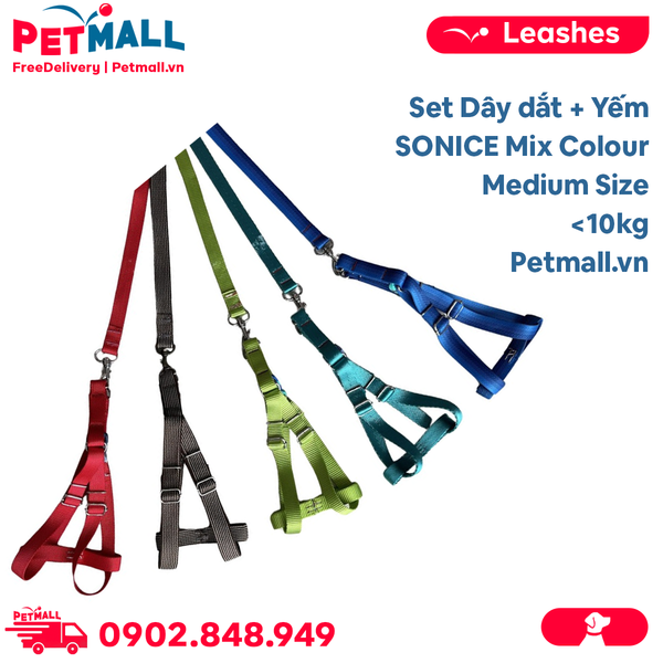 Set dây dắt + yếm SONICE Mix Colour Medium Size - Cho chó <10kg Petmall