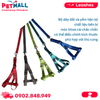 Set dây dắt + yếm SONICE Mix Colour Medium Size - Cho chó <10kg Petmall