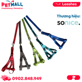 Set dây dắt + yếm SONICE Mix Colour Medium Size - Cho chó <10kg Petmall