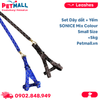 Set dây dắt + yếm SONICE Mix Colour Small Size - Cho chó <5kg Petmall