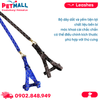 Set dây dắt + yếm SONICE Mix Colour Small Size - Cho chó <5kg Petmall
