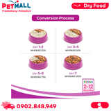 5.5KG - Thức ăn WHISKAS Ocean Fish Flavour Junior - Vị cá biển & sữa (cho mèo từ 2-12 tháng) Petmall