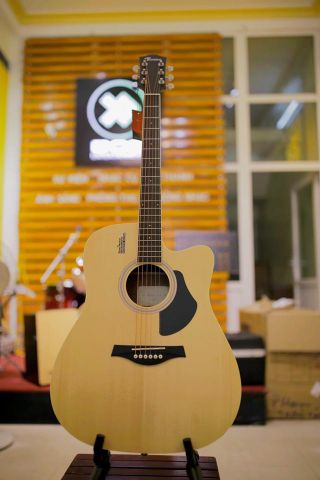 Đàn Guitar Acoustic Rosen Vàng G11