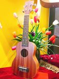 Đàn ukulele size 21