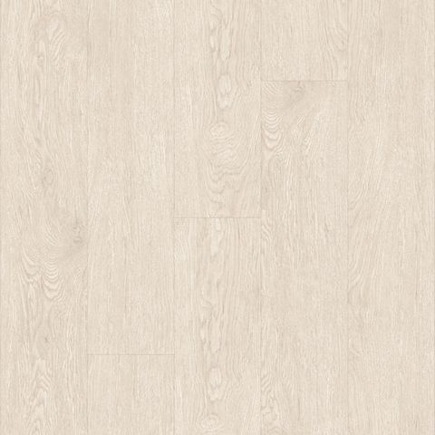 Thông trắng 3 [1701]