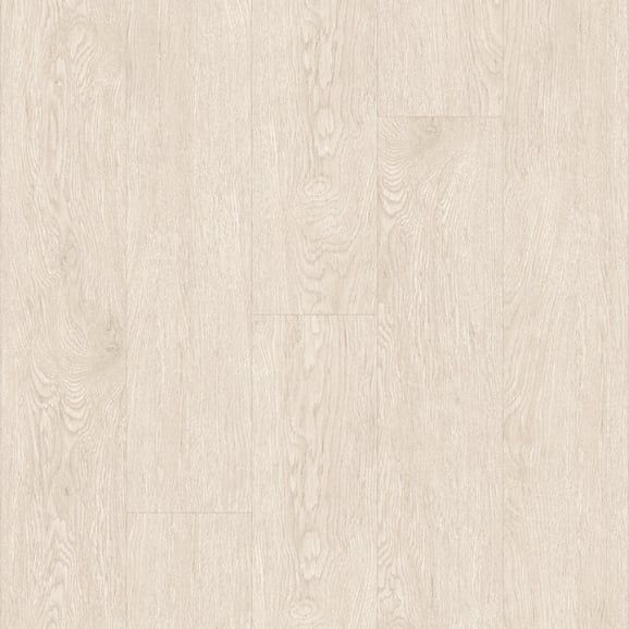 Thông trắng 3 [1701]