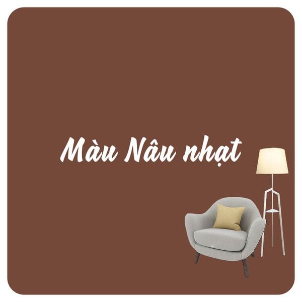 Phông vải màu Cotton đủ loại