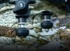 SmallRig 4684 - Lightweight Video Tripod Kit AD-50 Lite