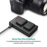 Bộ sạc đôi và 2 pin RAVPOWER RP-PB056 (Sony NP-FW50)