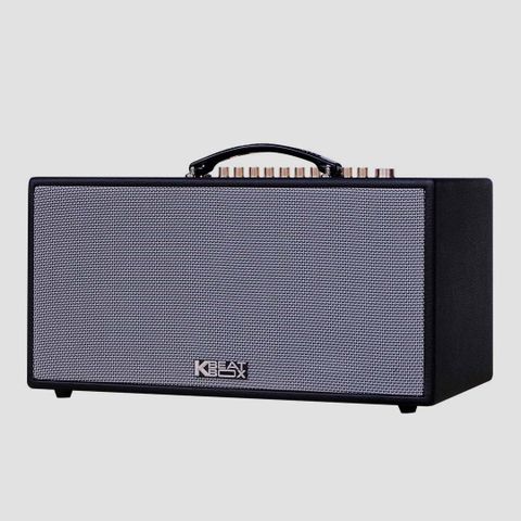 Loa Karaoke Xách Tay Acnos CS251PU