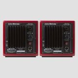 Avantone Active MixCubes Red Active pair