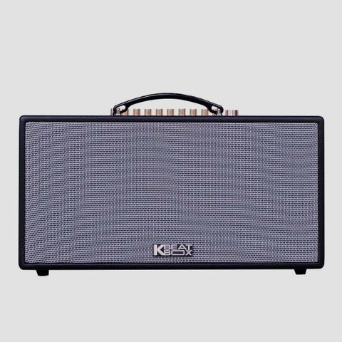 Loa Karaoke Xách Tay Acnos CS251PU