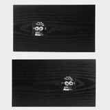 Loa kiểm âm Avantone CLA-10 - Monitor Studio Music