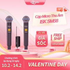 Cặp Micro thu âm iSK SM58 - Micro không dây