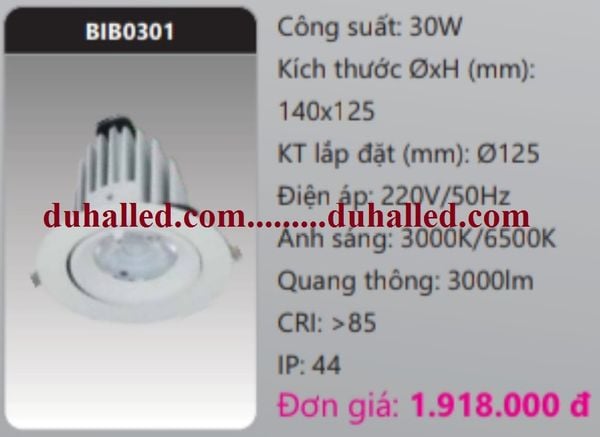  ĐÈN LED ÂM TRẦN CHIẾU ĐIỂM DUHAL 30W BIB0301 / BIB 0301 