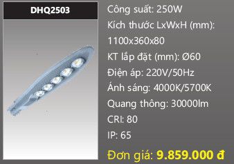  đèn đường led duhal 250w DHQ2503 
