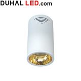  ĐÈN LED CHIẾU SÂU GẮN NỔI TRANG TRÍ 10W DUHAL DIB1105 