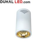  ĐÈN LED CHIẾU SÂU GẮN NỔI TRANG TRÍ 30W DUHAL DIB1305 