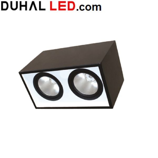  ĐÈN LED GẮN NỔI CHIẾU SÂU 2X10W DUHAL DFB2101 