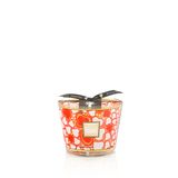  Nến thơm Max 10 Crazy Love Baobab 