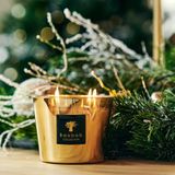  Nến thơm Max One Aurum Baobab 