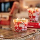  Nến thơm Max 10 Crazy Love Baobab 