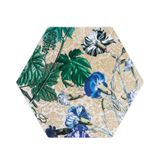  Đĩa sứ lục giác Kyma Multicolor 31x27cm Sambonet 