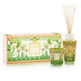  Set nến thơm Tomorrowland 2024 My First Baobab 