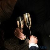  Set 2 ly Champagne Steel Gold Look Sambonet 