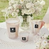  Nến thơm Max 10 White Pearls Baobab Collection 