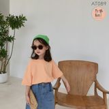  AT089 