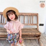  AT134 - 2 MÀU 