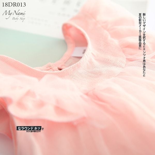 DR013 