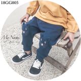  GG005 