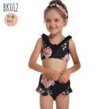  BK012 