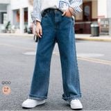  Quần Jean suông ống rộng Q100 