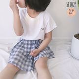  SET029 