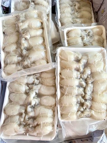  Mực nang baby làm sạch - 500g/khay 