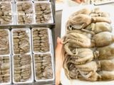 Bạch tuộc baby Phú Quốc - 500g/khay (6-10 con) 