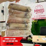  Set 3 - 4 con mực lá size vừa ̣̣(1,4kg) 