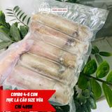  Set 3 - 4 con mực lá size vừa ̣̣(1,4kg) 