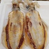  Mực lá câu Big Size Mi Nơ Phú Quốc 600g-up/con -10g 