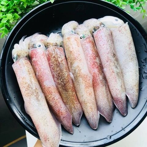  Mực ống nháy nguyên con - Khay 500g 