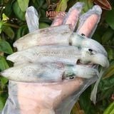  Mực trứng câu Phú Quốc - 500g/túi 