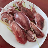  Mực lá câu Phú Quốc sét 2 con/ 950gram-1kg 