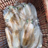  Mực lá câu Phú Quốc sét 2 con/ 950gram-1kg 