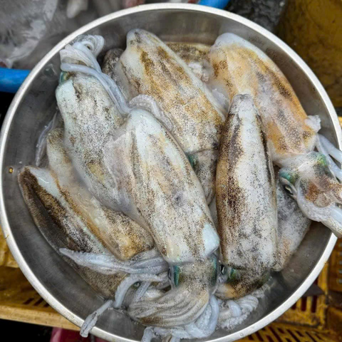  Mực lá câu Phú Quốc sét 2 con/ 950gram-1kg 