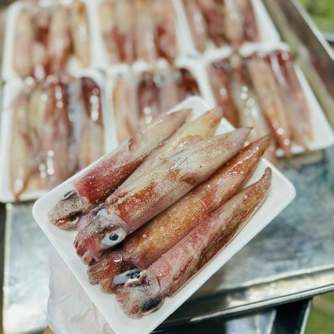  Mực ống nháy nguyên con - Khay 500g 