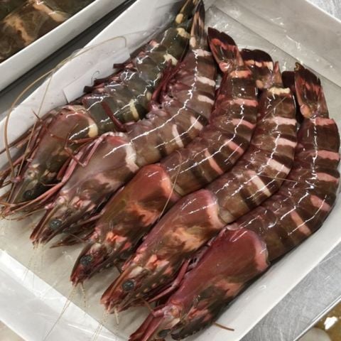  Tôm sú biển size khủng 10-12 con/kg - 500g/khay (5-6 con) 