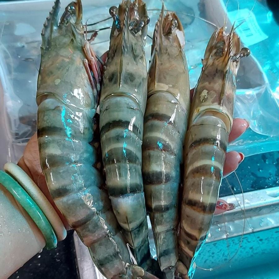Tôm sú biển khổng lồ size 8 con/kg - 500g/khay (4 con)